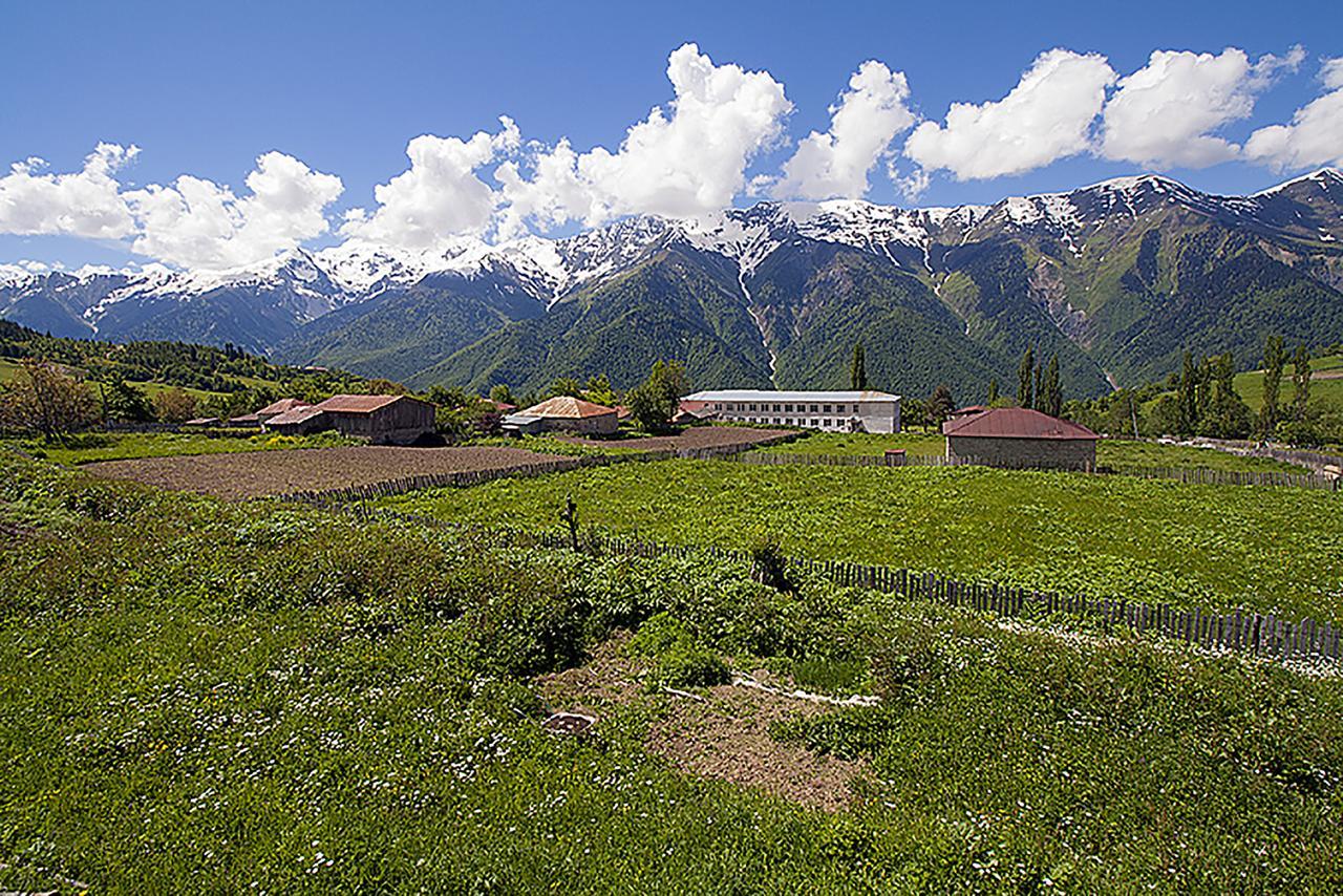 Hanmer Guest House Iskari Dış mekan fotoğraf